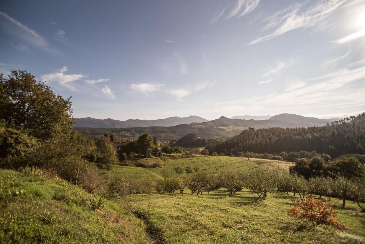 Hotel Casa Rural Madariaga Artea Zewnętrze zdjęcie