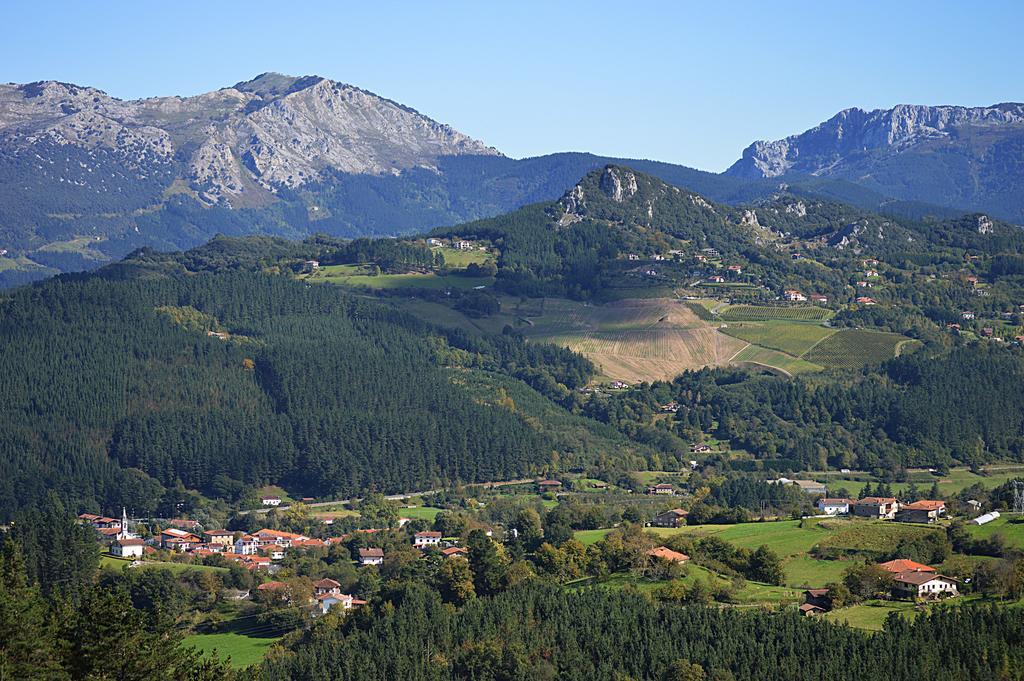 Hotel Casa Rural Madariaga Artea Zewnętrze zdjęcie