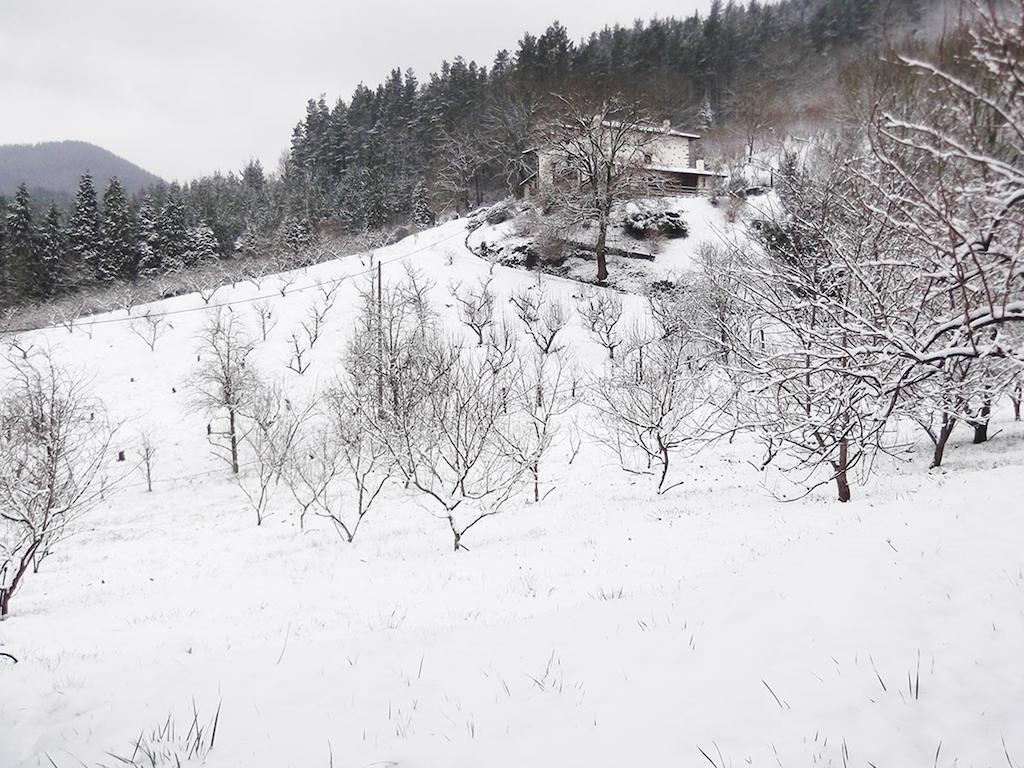 Hotel Casa Rural Madariaga Artea Zewnętrze zdjęcie